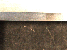 SurveyImage_29_06.png