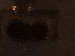 SurveyImage_11_03.png