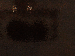 SurveyImage_13_03.png
