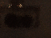 SurveyImage_14_03.png