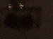 SurveyImage_15_03.png