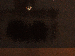 SurveyImage_23_03.png