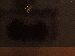 SurveyImage_24_03.png