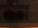 SurveyImage_25_03.png