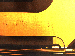 SurveyImage_27_02.png