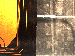 SurveyImage_28_02.png
