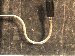 SurveyImage_29_02.png