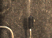 SurveyImage_29_04.png