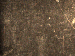 SurveyImage_29_05.png