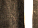 SurveyImage_30_03.png