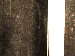SurveyImage_30_04.png