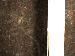 SurveyImage_30_05.png