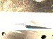 SurveyImage_01_01.png