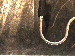 SurveyImage_01_02.png