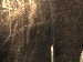 SurveyImage_01_04.png