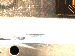 SurveyImage_02_01.png