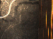 SurveyImage_02_03.png