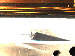 SurveyImage_05_01.png