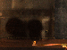 SurveyImage_05_05.png