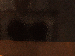 SurveyImage_07_03.png