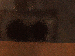 SurveyImage_08_03.png