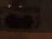 SurveyImage_12_03.png