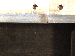 SurveyImage_12_06.png