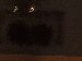 SurveyImage_16_03.png