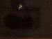 SurveyImage_19_03.png