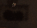 SurveyImage_21_03.png