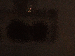 SurveyImage_22_03.png