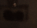 SurveyImage_23_03.png