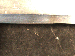 SurveyImage_29_06.png