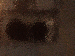 SurveyImage_05_03.png