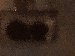 SurveyImage_07_03.png