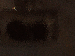 SurveyImage_09_03.png