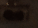SurveyImage_10_03.png