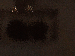 SurveyImage_12_03.png