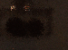 SurveyImage_14_03.png