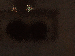 SurveyImage_15_03.png