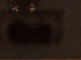 SurveyImage_16_03.png