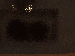 SurveyImage_17_03.png