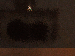 SurveyImage_22_03.png