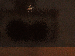 SurveyImage_23_03.png