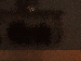 SurveyImage_24_03.png