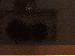 SurveyImage_25_03.png