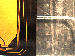 SurveyImage_28_02.png