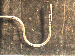 SurveyImage_29_02.png