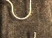 SurveyImage_29_03.png