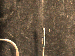 SurveyImage_29_04.png